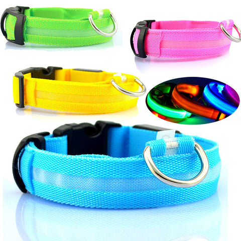LED Pet Safety Collar, prevention pays!