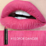 12 Colors Profession Women' Lip Stick Moisturizing Matte Lipsticks waterproof Long Lasting Lip Gloss Stick Cosmetic
